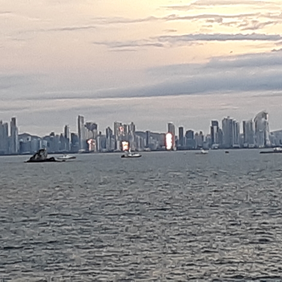 Meet your Posher, Larry - Picture 8 of 9